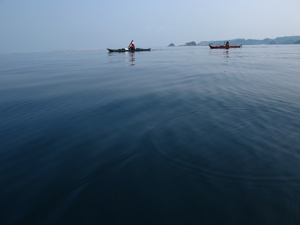 近況とお知らせ