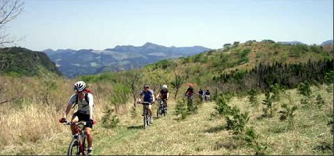 新緑ツーリング