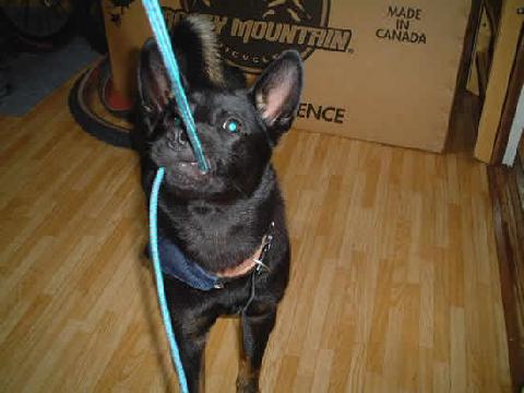 ヒモを結べるオトコ