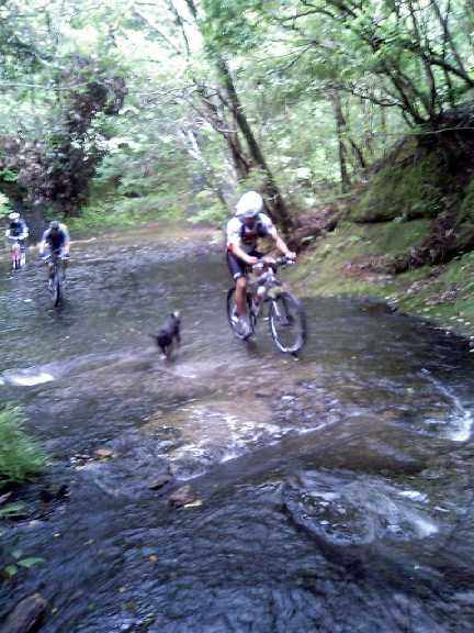 エアコン付トレイル