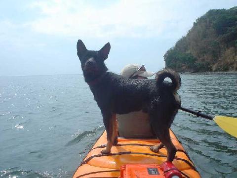 勝島シーカヤック