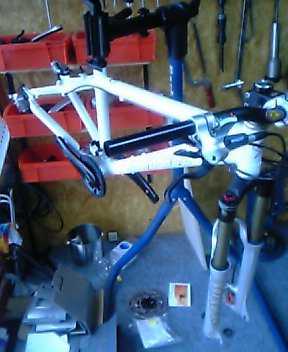 サンタクルズの