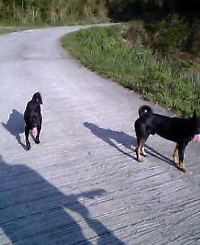 ロッキーが・・・！