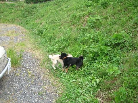 サザンワークスミーティング　その２