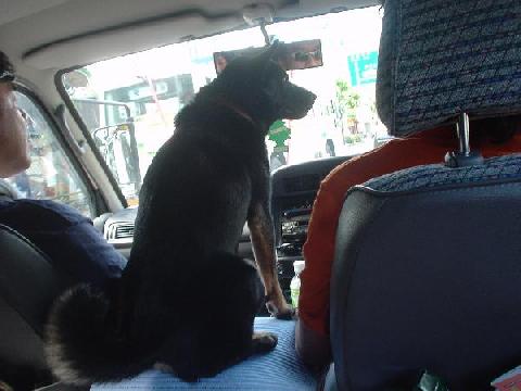 海から山へ その２