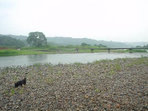 川へ　その２