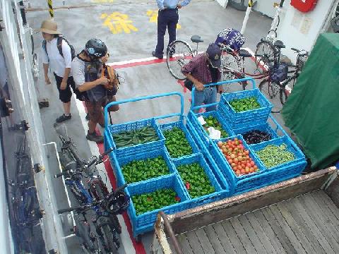 夏のMTB　その３