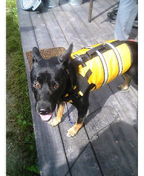 自覚しております。