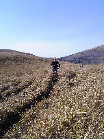 たまりましぇん