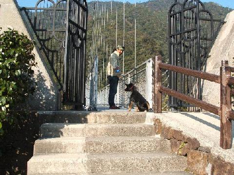 ひさしぶりのダウンヒル