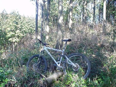 やまみち探し　ドツボ編