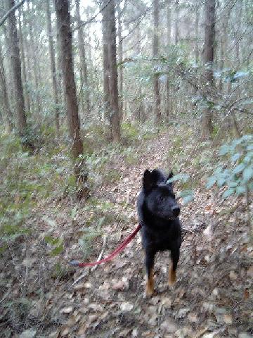 こんなトコロに・・・