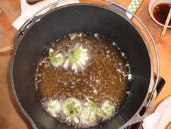 春・トレイルツアー