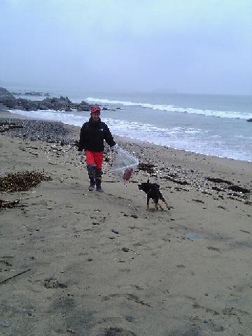 ビーチクリーン