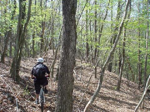 信州トレイル道場破り　その２