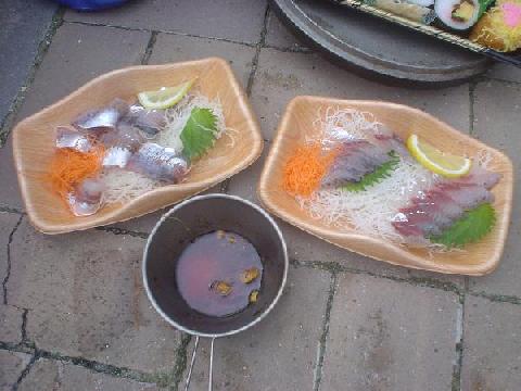 シーカヤック道場