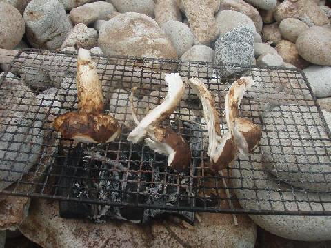 接待される系ツアー