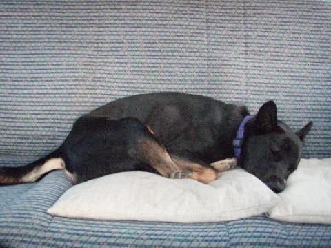 山はいいなあ～