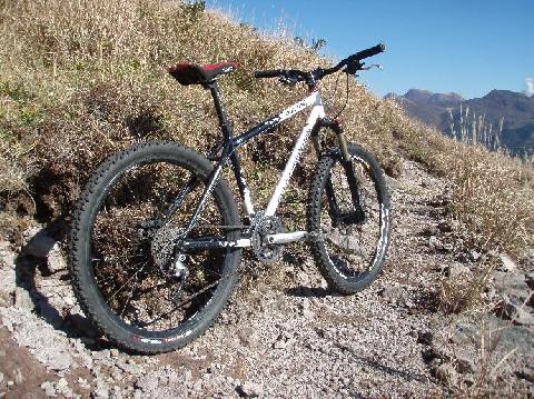 いや～しかし・・・