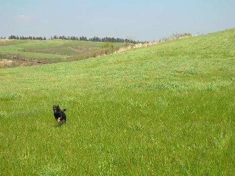 福岡市民の皆様