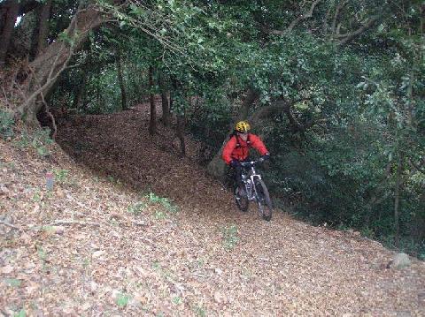 トレイルでの技術