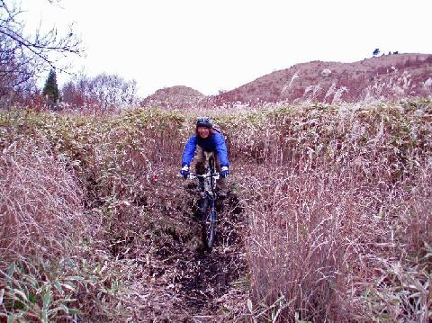 寒くなりました