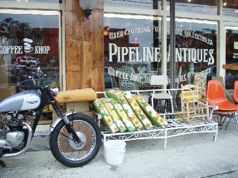 春・沖縄　その３