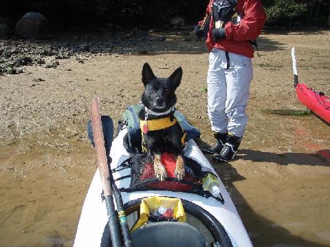 １デイシーカヤック