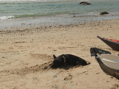 Fethercraft試乗会in糸島