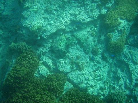 硫黄島へ　その１