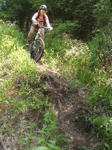 ミヤマキリシマライド