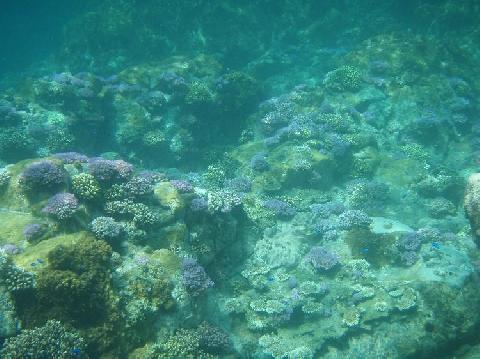 坊津シーカヤックツアー　その２