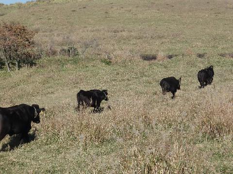 感謝感謝・・・