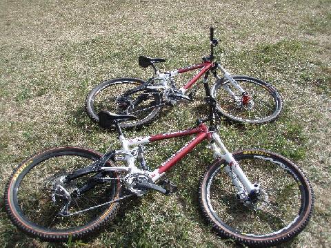 お知らせいろいろ