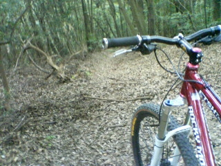 トレイルスクール