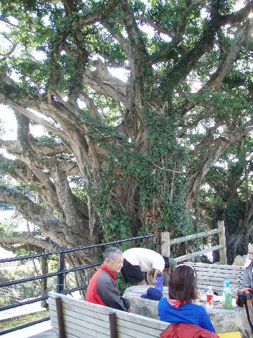 屋久島へ　その２