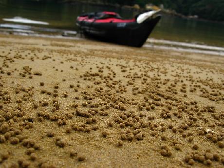 カヤック旅入門　その２