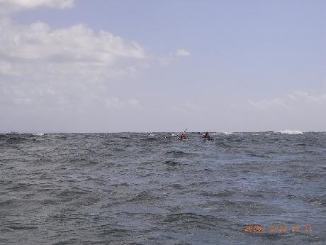 奄美から戻りました