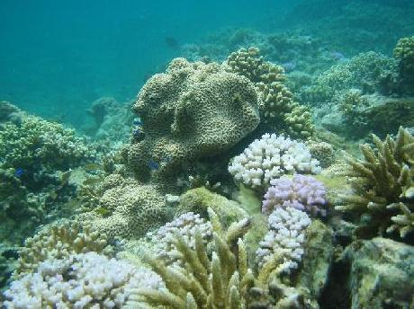 平日コースのご案内