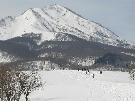 年に一度の雪仕事